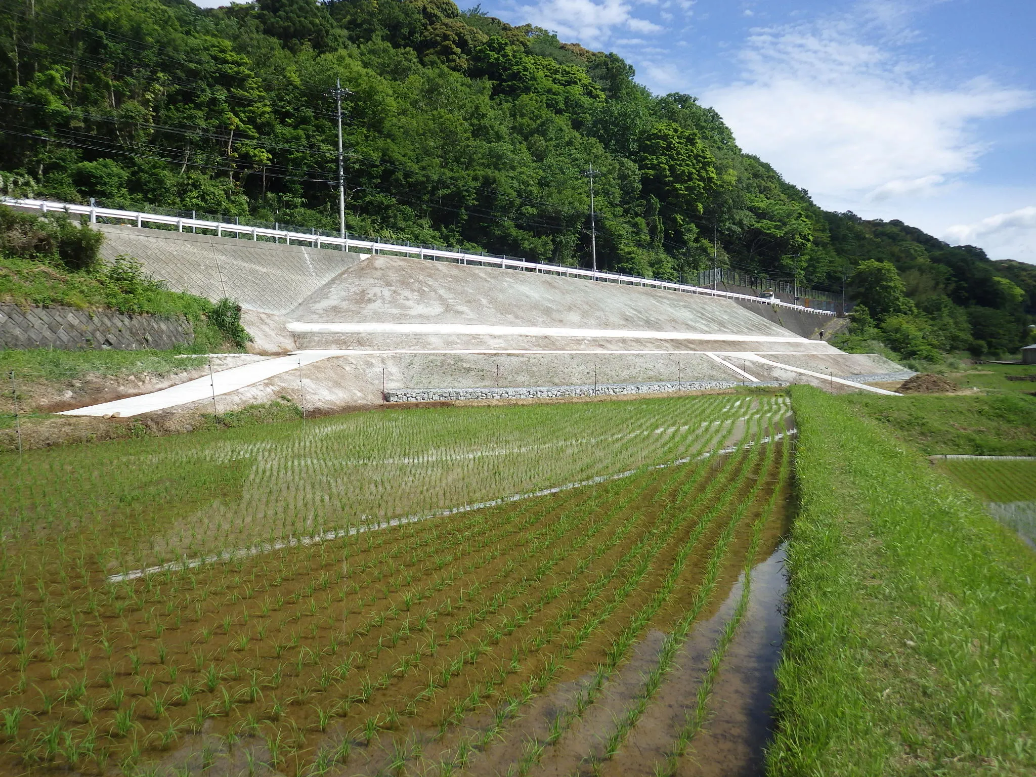 （主）熱海大仁線元年道路災害復旧工事元年災査定第１１０号
